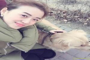 《聪明的一休》动画片